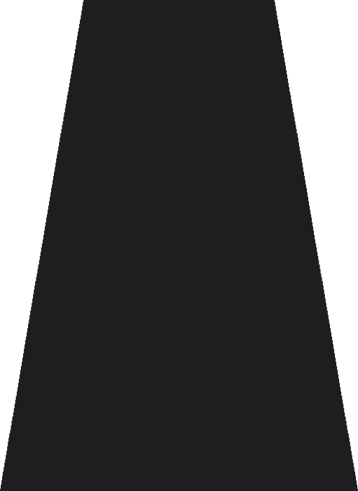 Black skirt